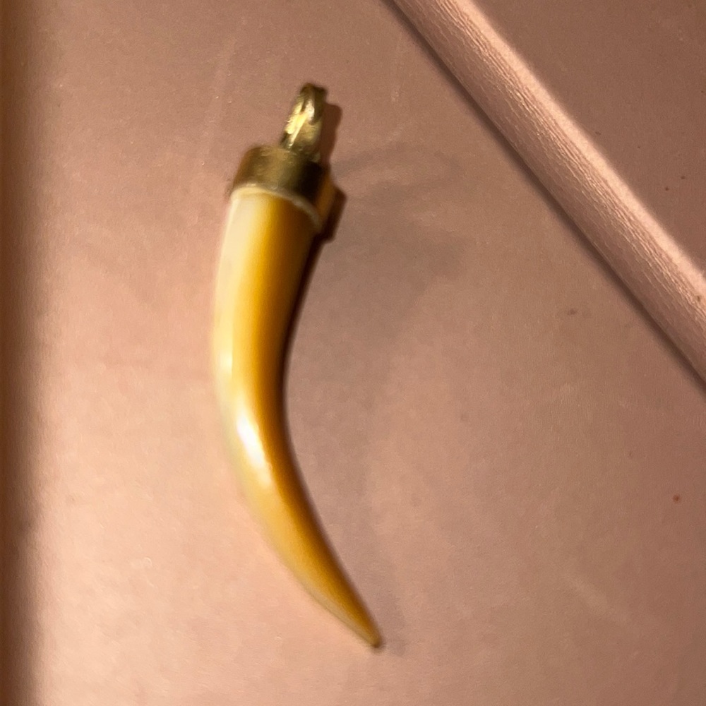 Antique hand carved mother of pearl tigers tooth